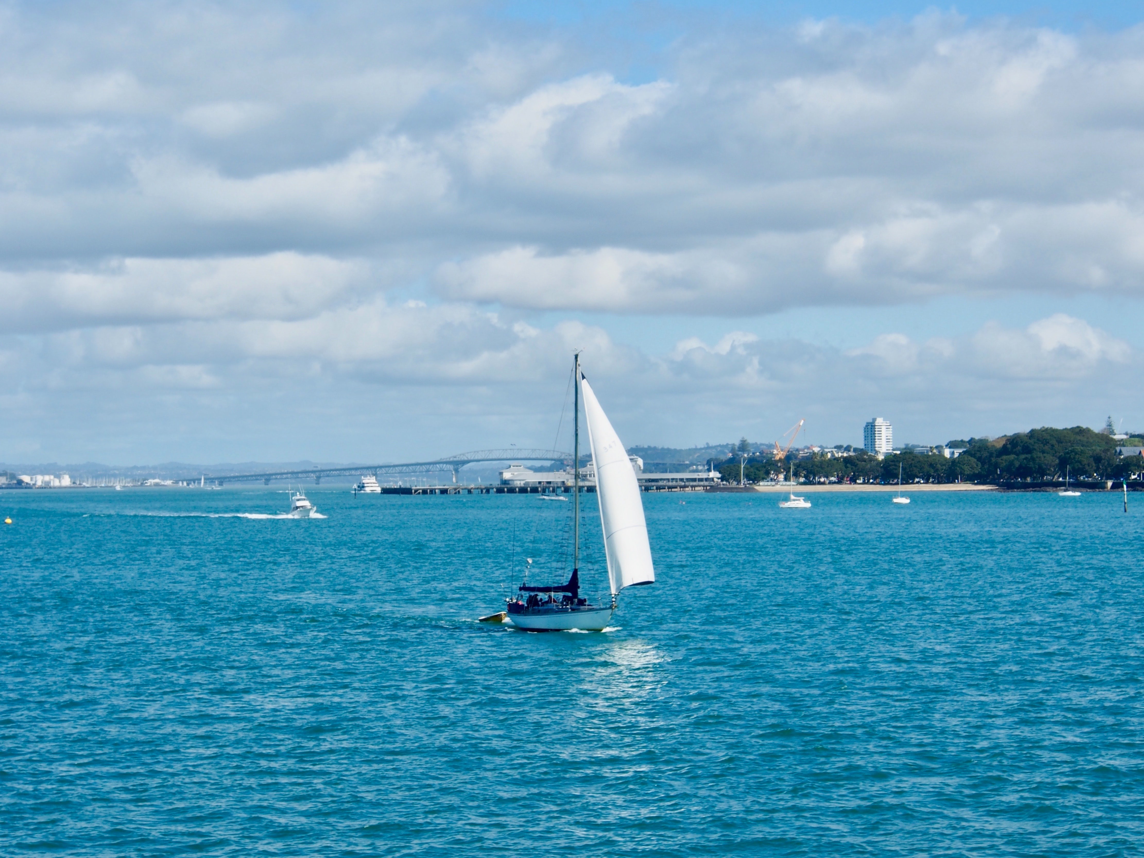 neuseeland auckland waiheke island segeln