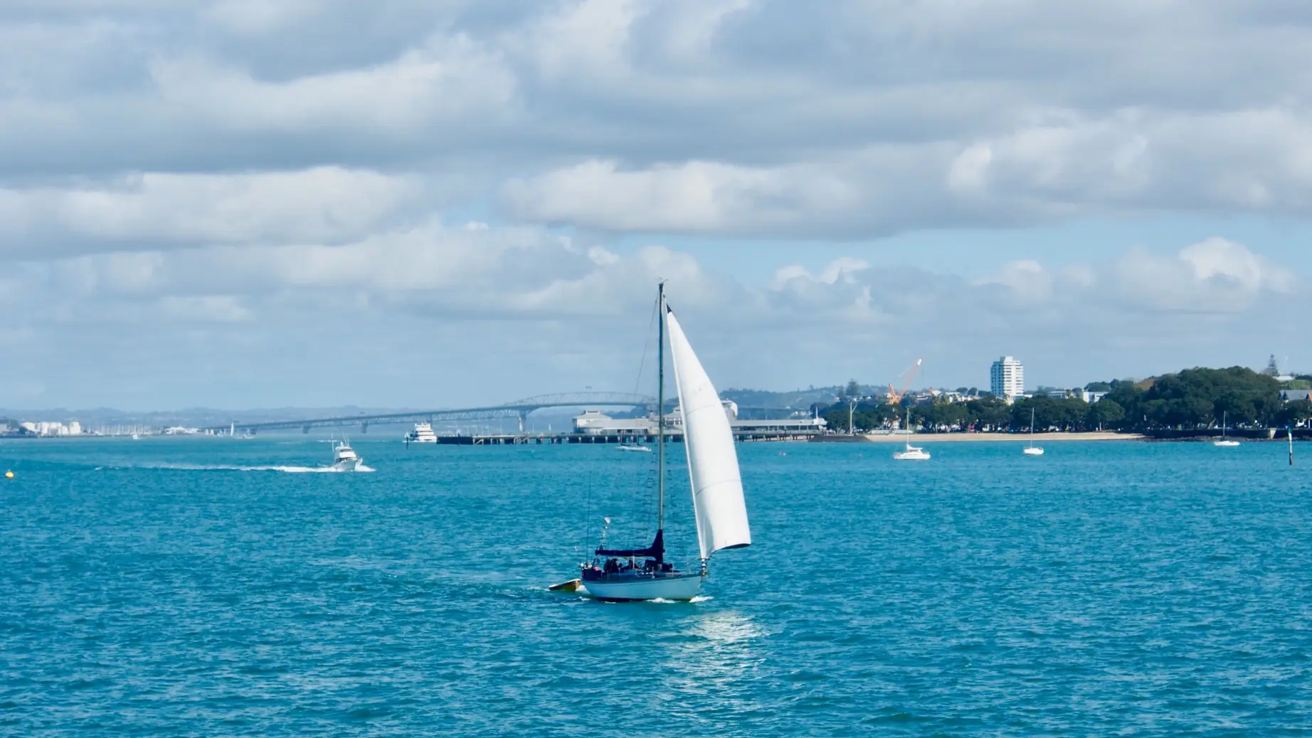 neuseeland auckland waiheke island segeln