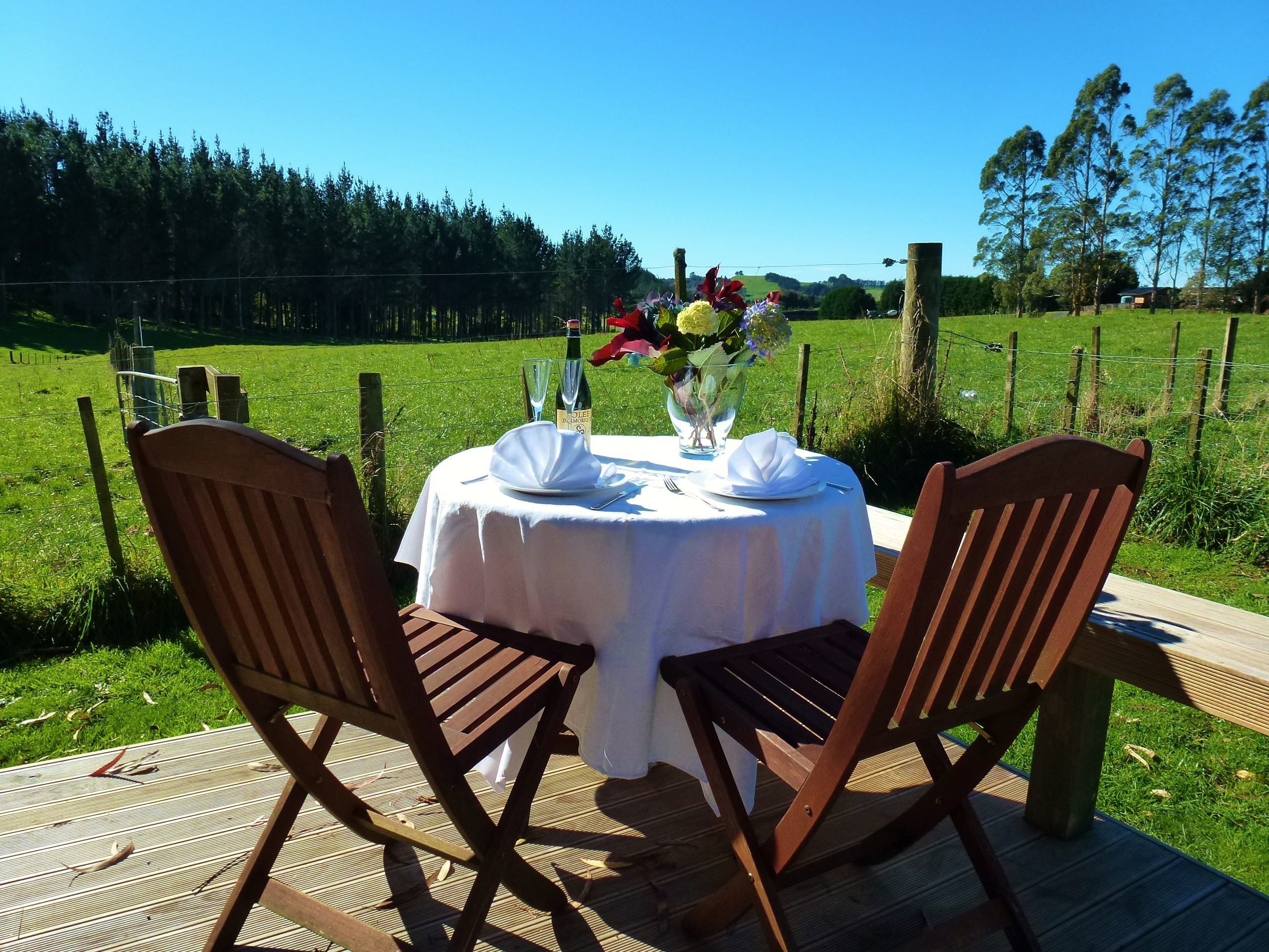 Neuseeland Rotorua Kaharoa Unterkunft Blossom Cottage Vintage Room terrasse aussichr grüne wiese