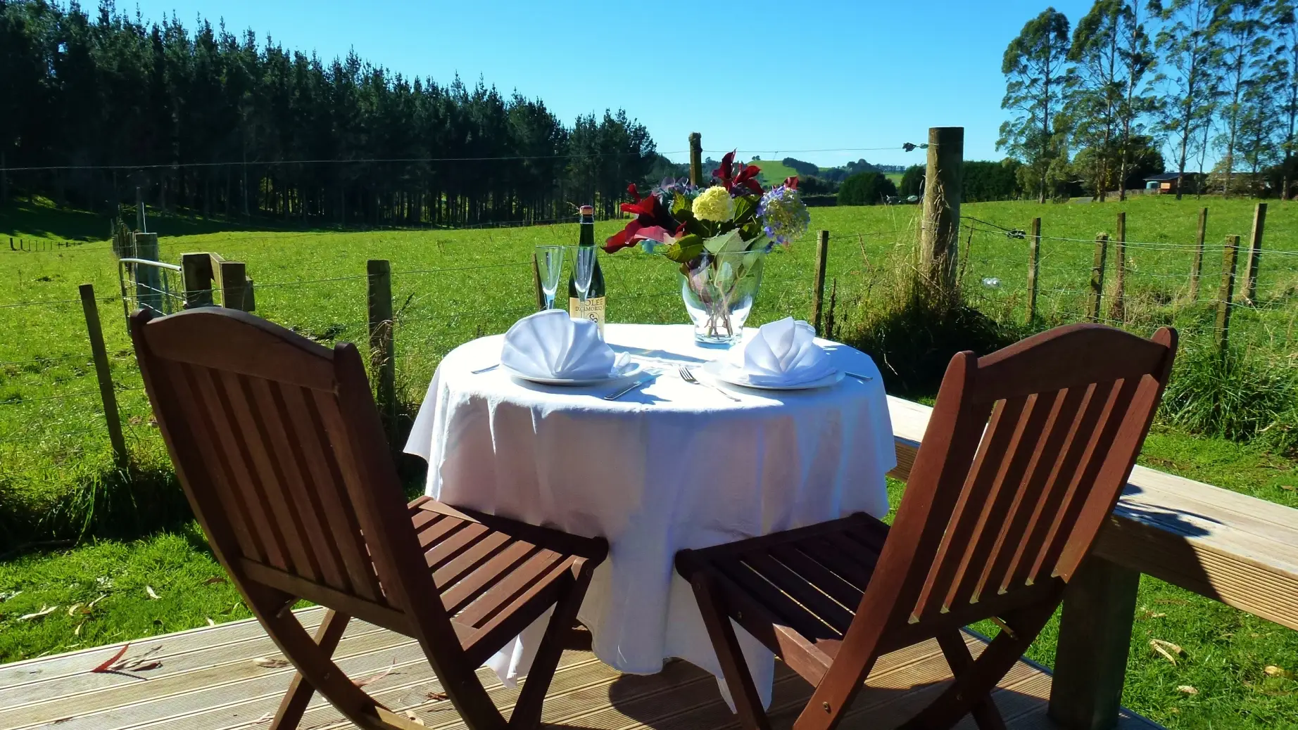 Neuseeland Rotorua Kaharoa Unterkunft Blossom Cottage Vintage Room terrasse aussichr grüne wiese
