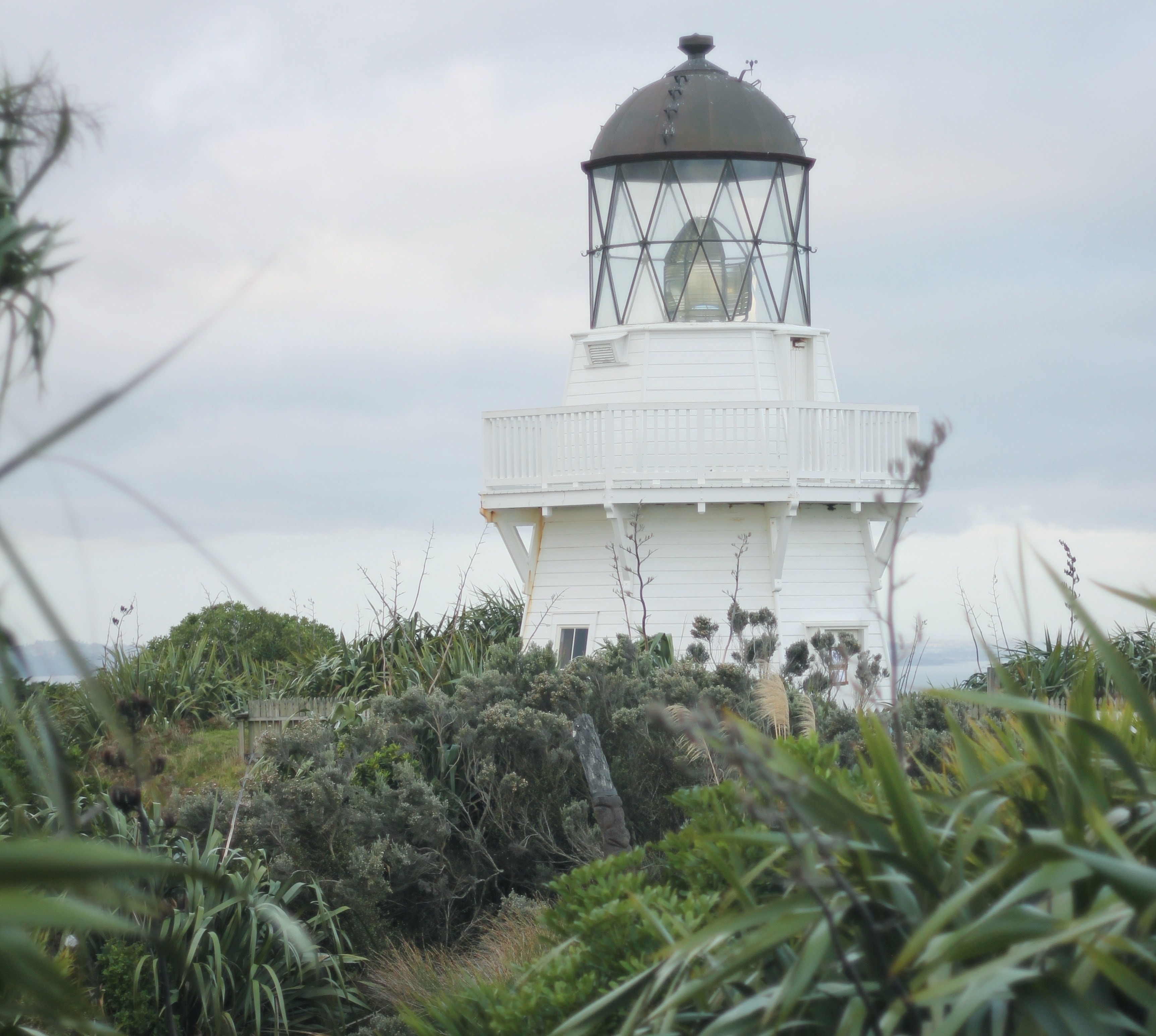 neuseeland auckland manuaku leuchtturm meer