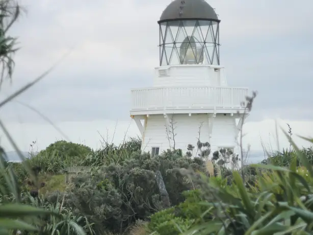 neuseeland auckland manuaku leuchtturm meer
