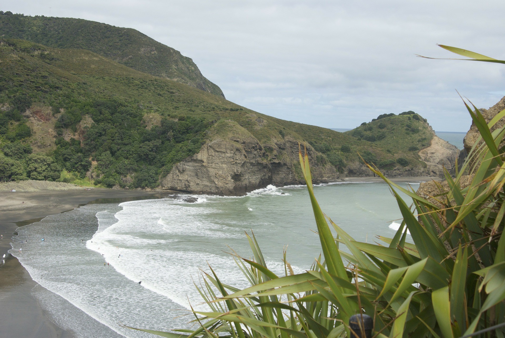 neuseeland auckland piha beach strand wellen bucht hügel