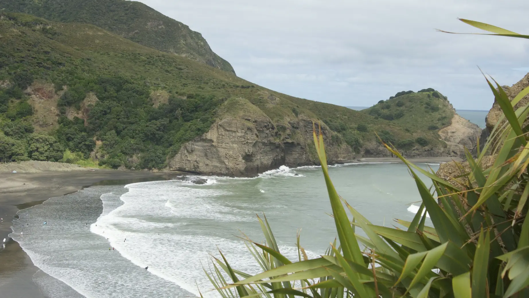 neuseeland auckland piha beach strand wellen bucht hügel