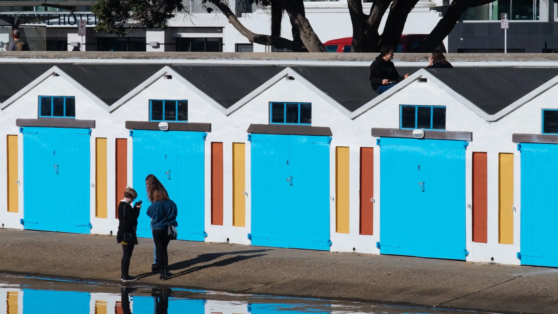 Neuseeland Wellington Waterfront Bunte Container Hafen
