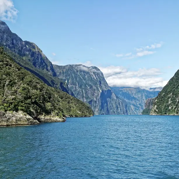 Milford Sound in het Fiordland National Park, Nieuw-Zeeland