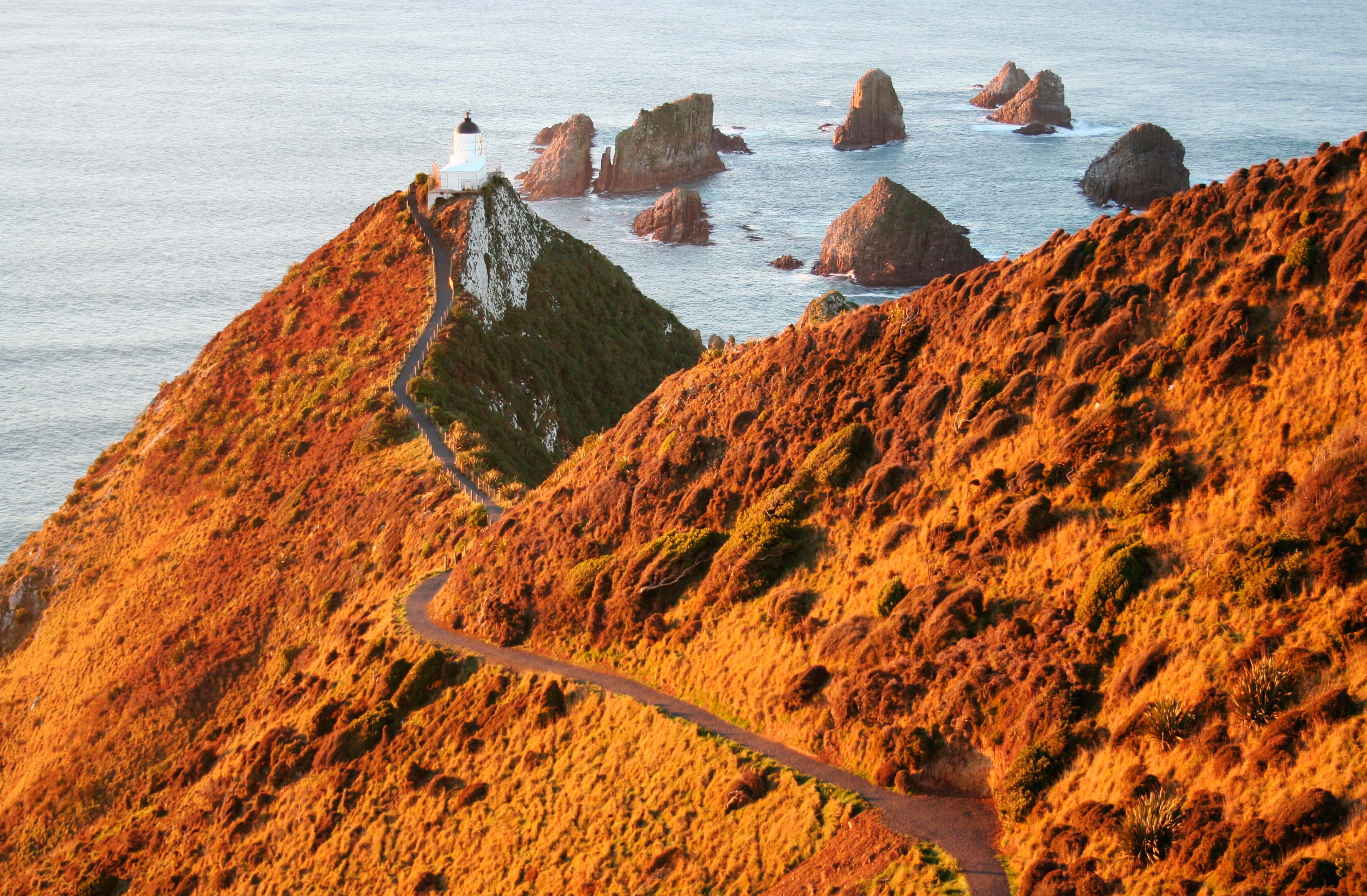 Eine Straße zum Nugget Point auf der Südinsel Neuseelands