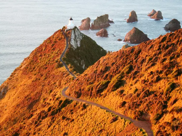 Eine Straße zum Nugget Point auf der Südinsel Neuseelands