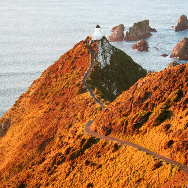 A road to Nugget Point South Island New Zealand