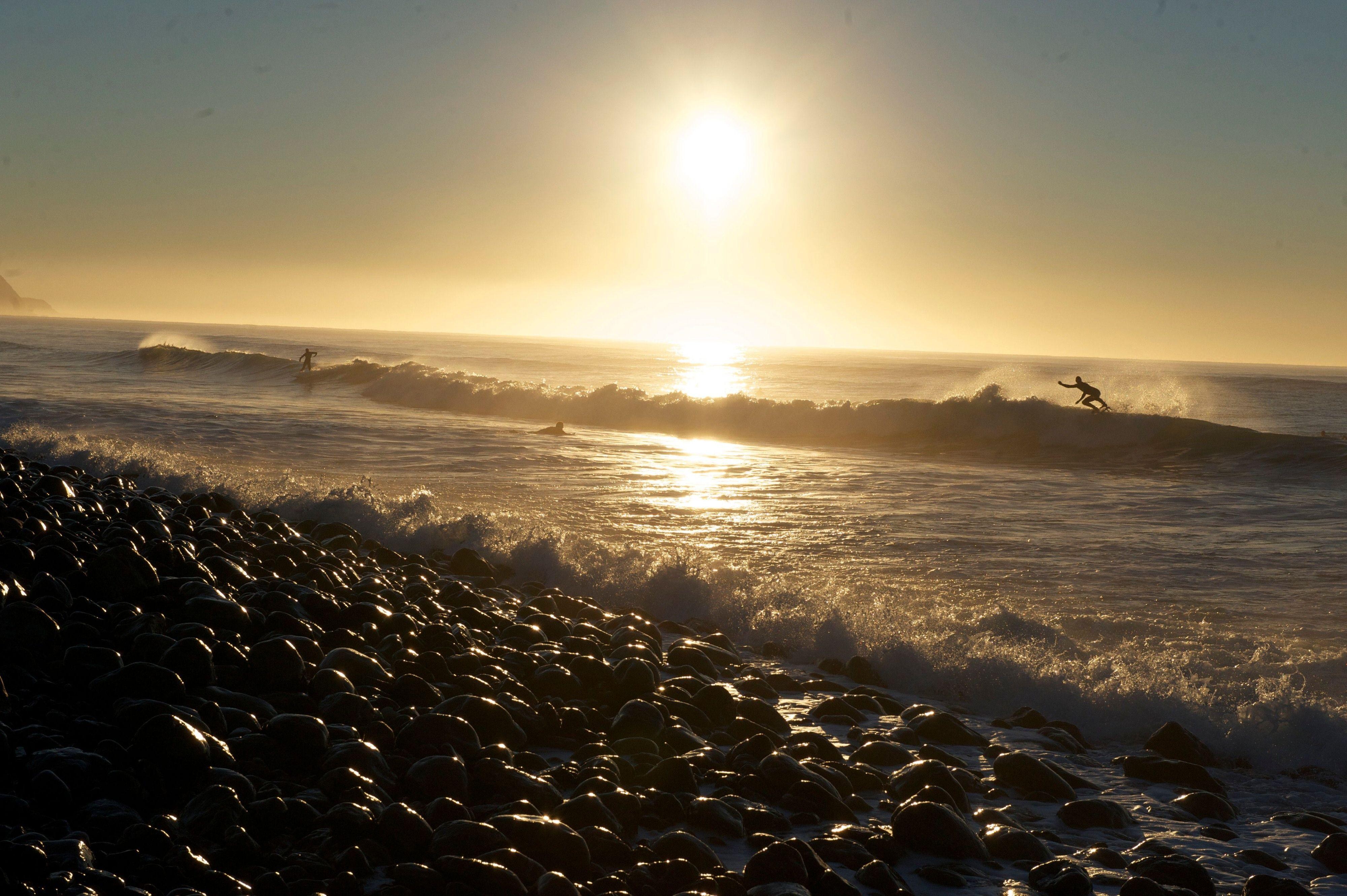 Nz dunedin beach surfers 2 solo active