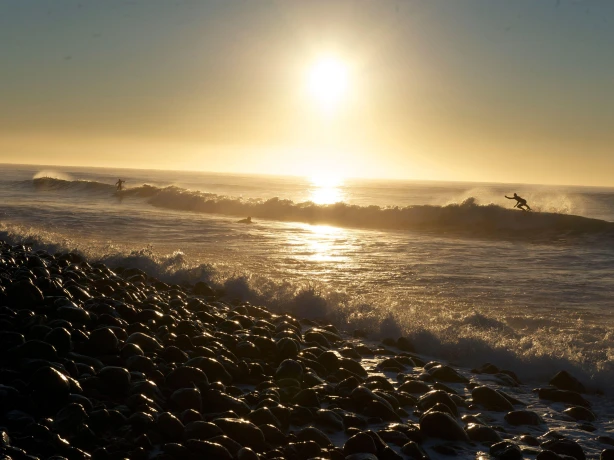 Nz dunedin beach surfers 2 solo active