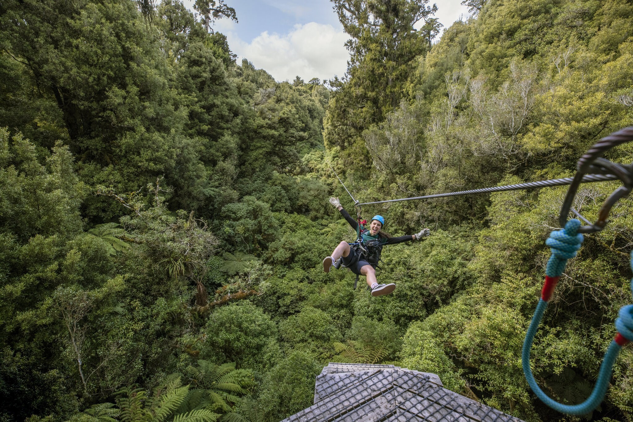 nz-south-rotorua-canopytours