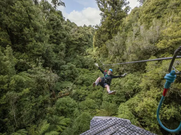 nz-south-rotorua-canopytours