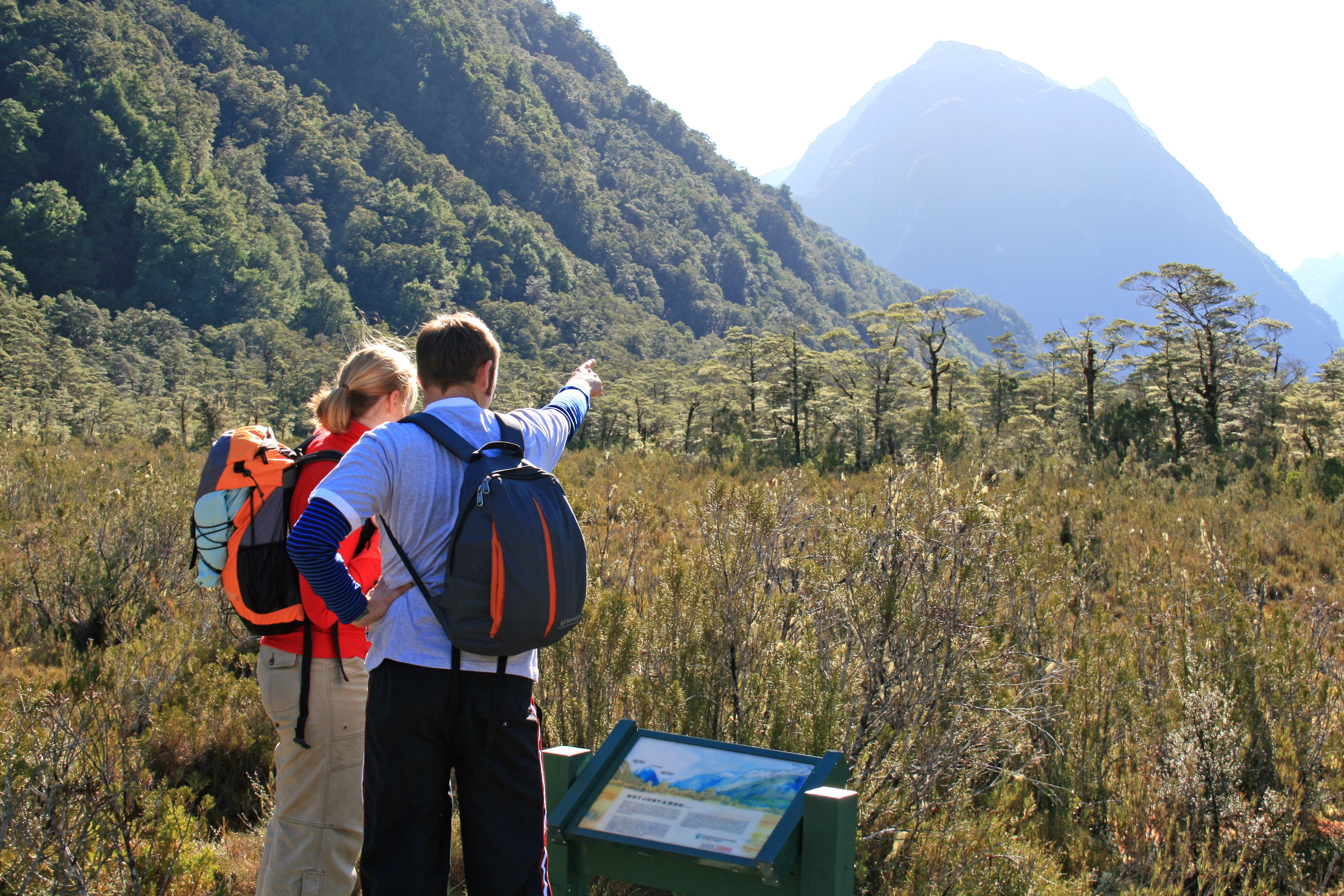Nz milford track day walk 2 solo active