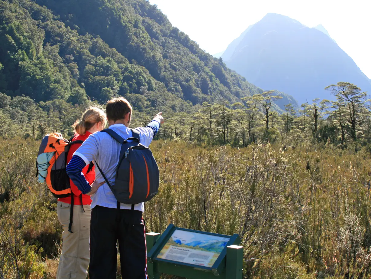 Nz milford track day walk 2 solo active