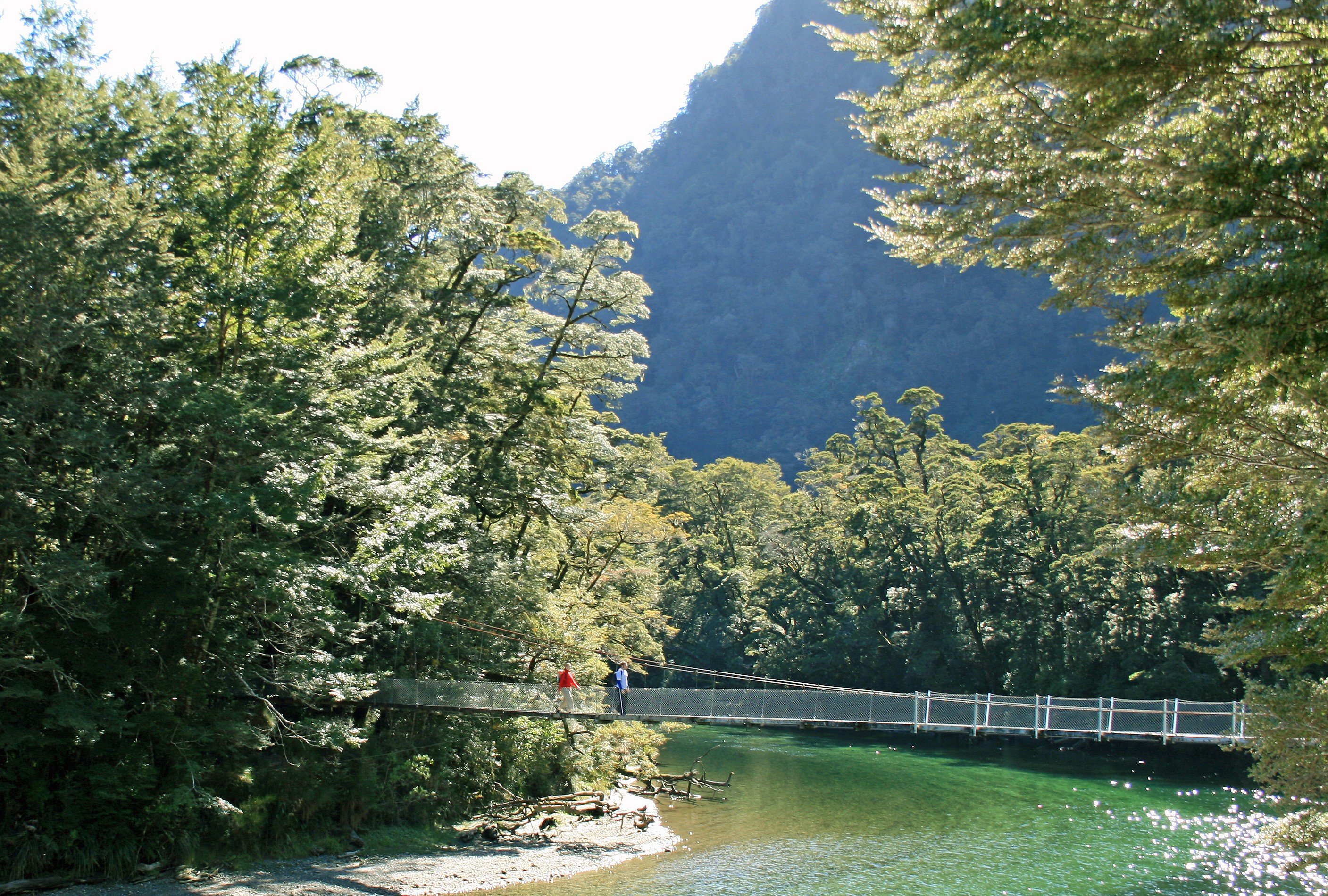 Nz milford track day walk 3 solo active