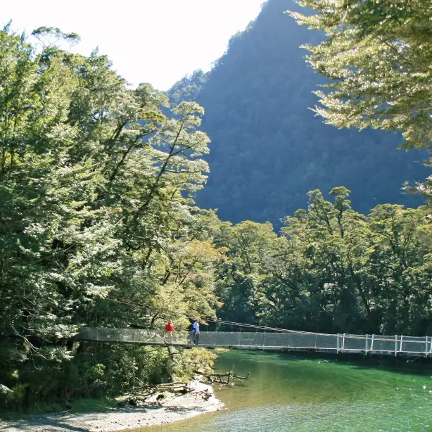 Nz milford track day walk 3 solo active