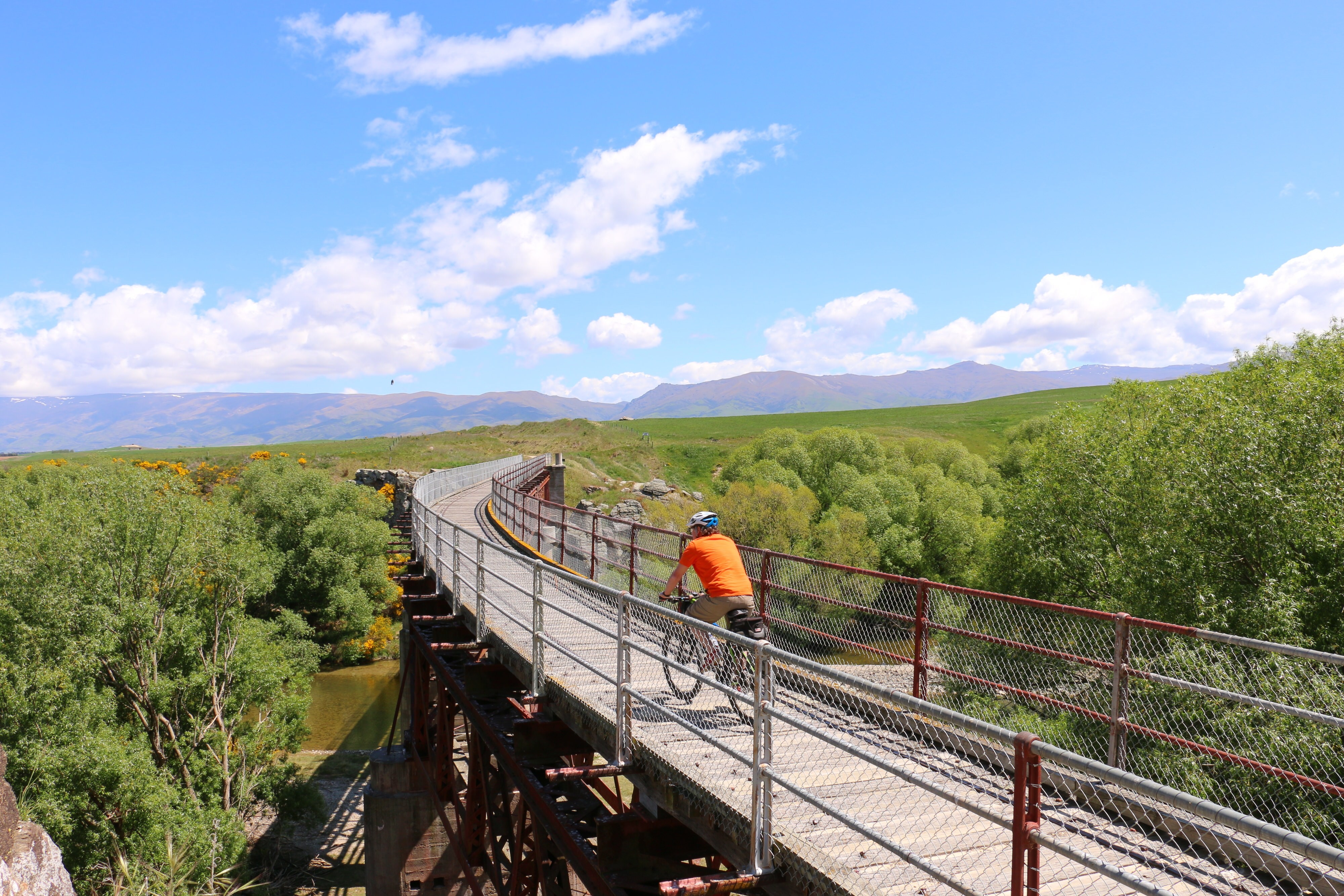 Nz otago bike trail bridge solo see and do active