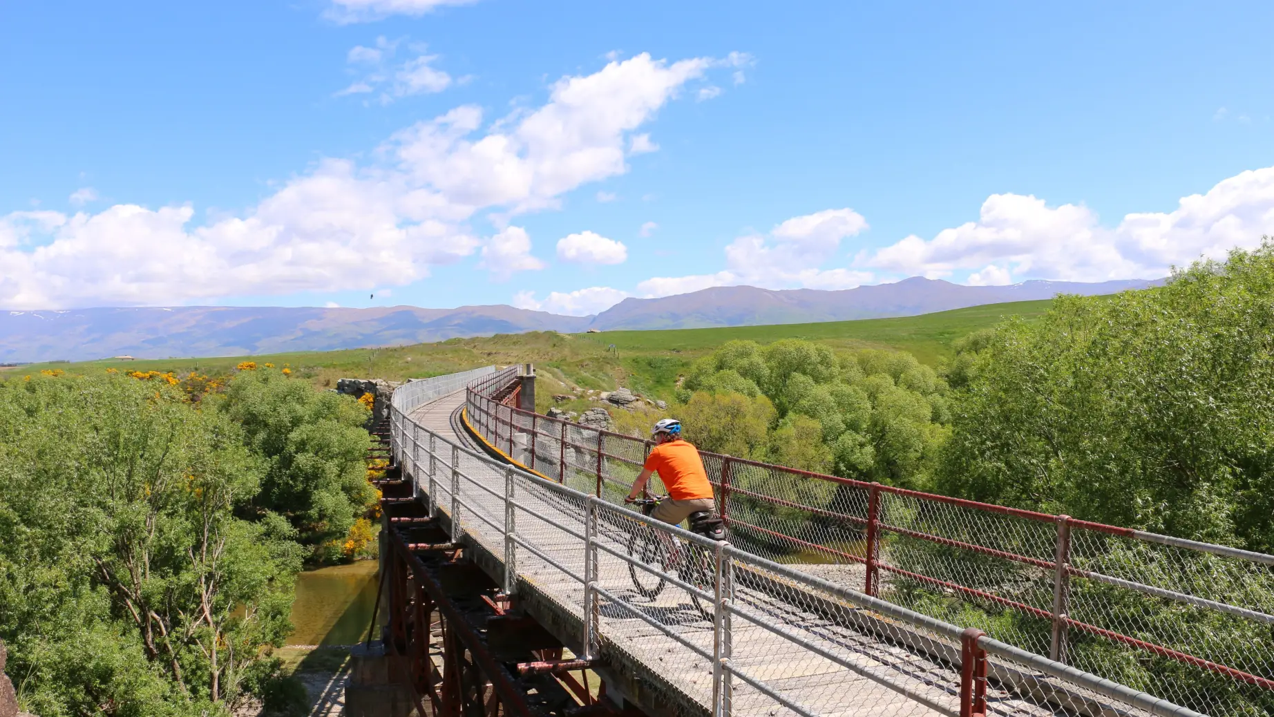 Nz otago bike trail bridge solo see and do active