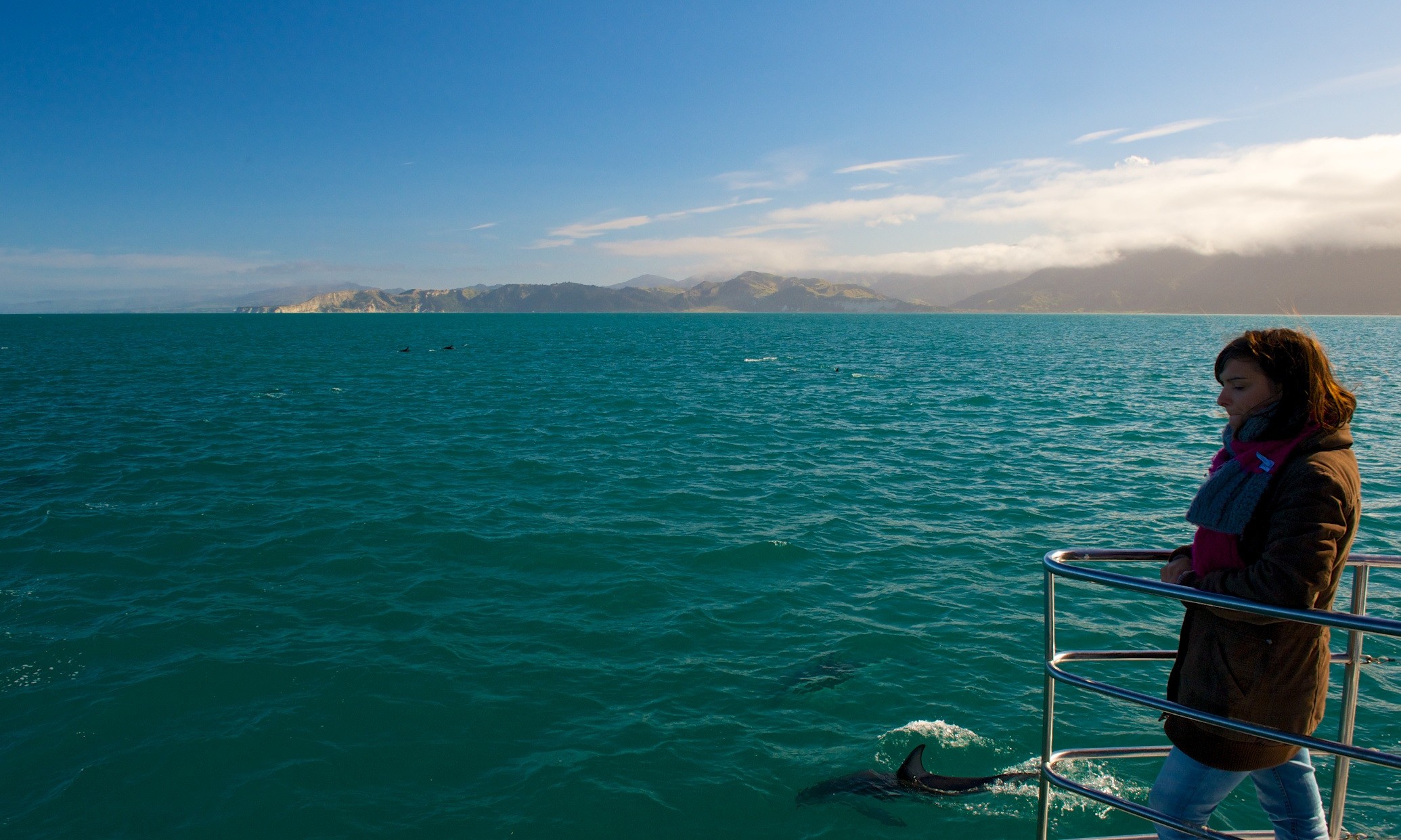 Nz dolphin encounter kaikoura 2 solo easy going