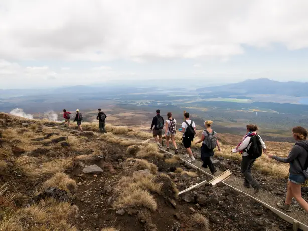 Nz tongariro alpine crossing solo see and do active 1