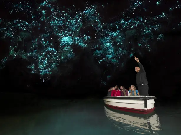 Nz waitomo glowworms 3 solo easygoing