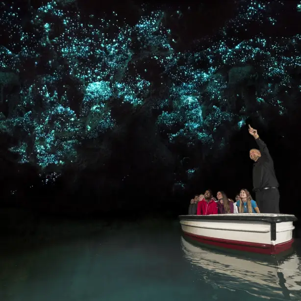Nz waitomo glowworms 3 solo easygoing