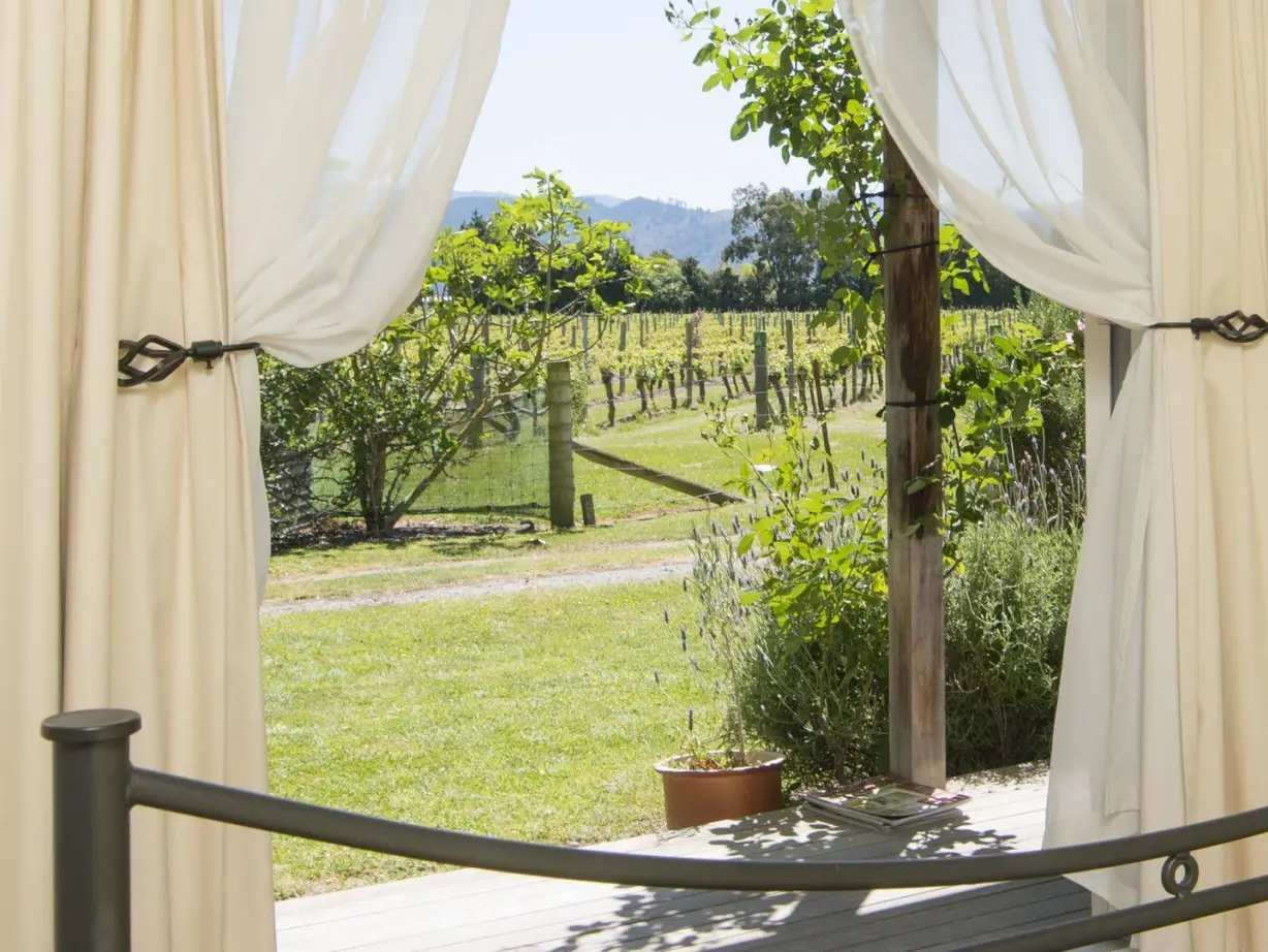 nz-blenheim-vineyard-cottage-view-partner-accommodation-comfortable