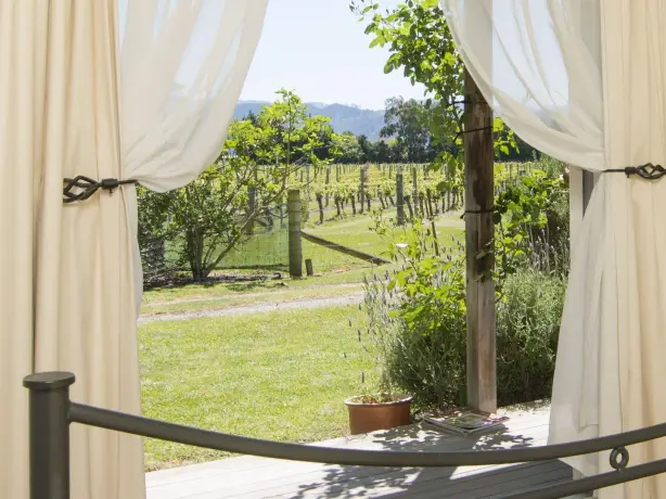 nz-blenheim-vineyard-cottage-view-partner-accommodation-comfortable