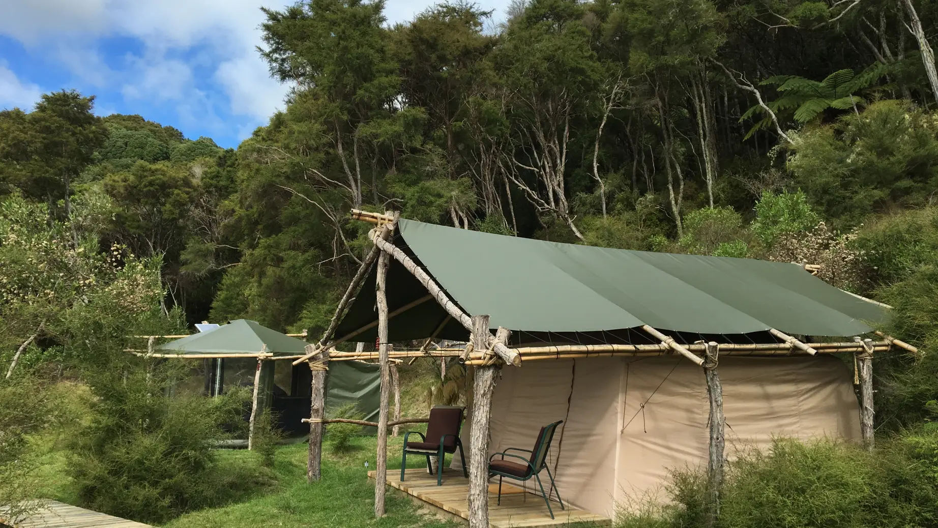 Glamping-Hütte umgeben von Wald in Neuseeland