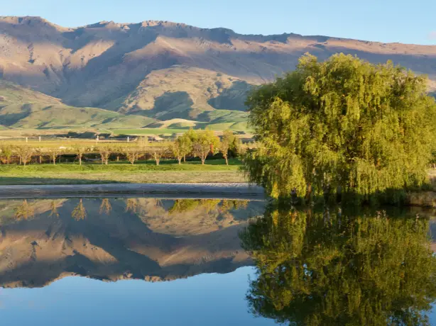 nz-central-otago-cottage-vineyard-garden-view-partner-accommodation-comfortable