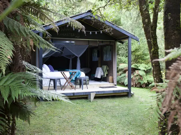 Glamping-Hütte inmitten des Waldes