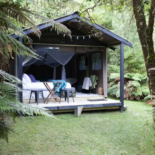 Glamping hut surrounded by forrest