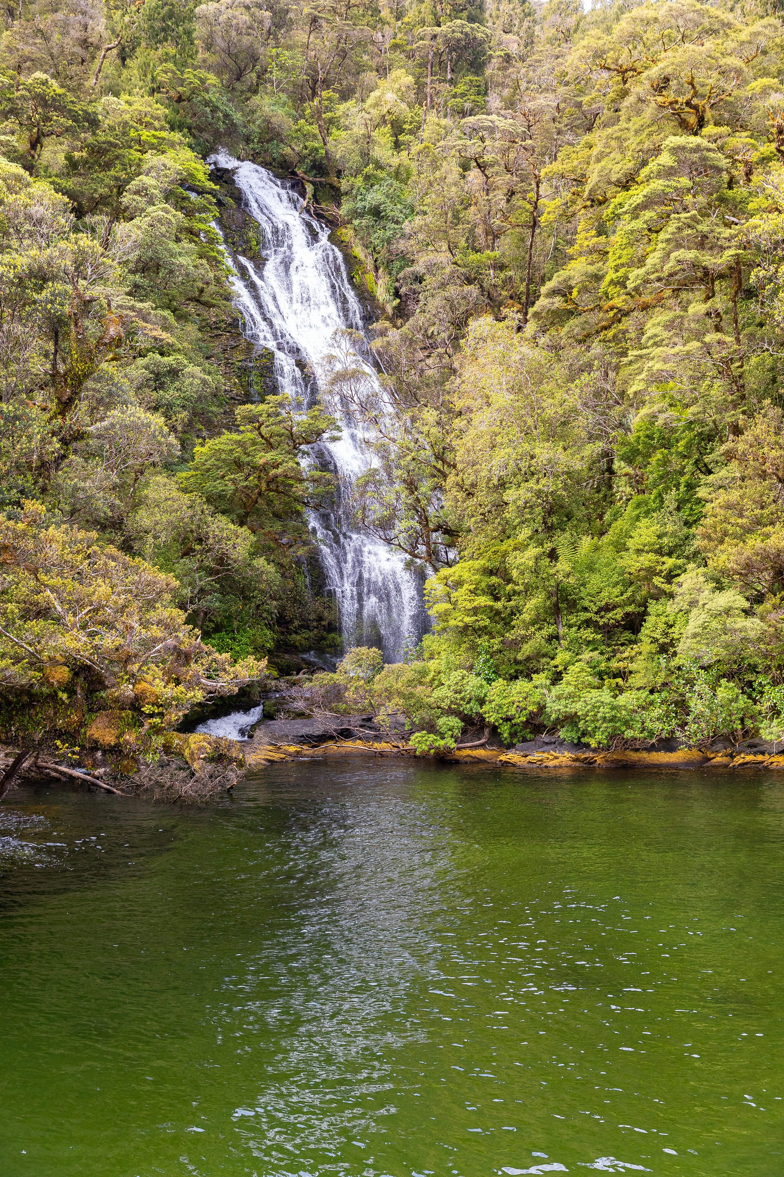 nz-south-waterfall-fiordland national park-partner-best travel time