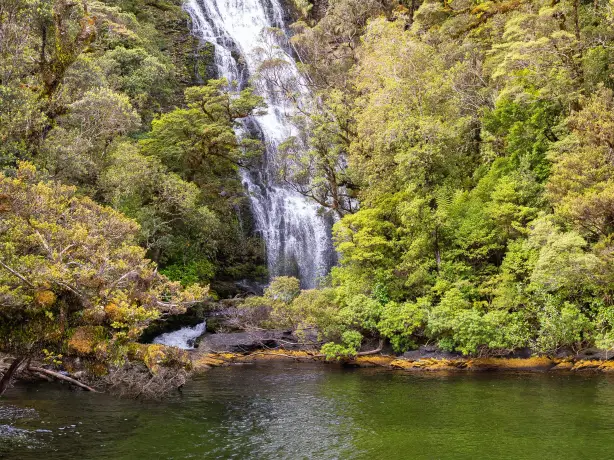 nz-south-waterfall-fiordland national park-partner-best travel time