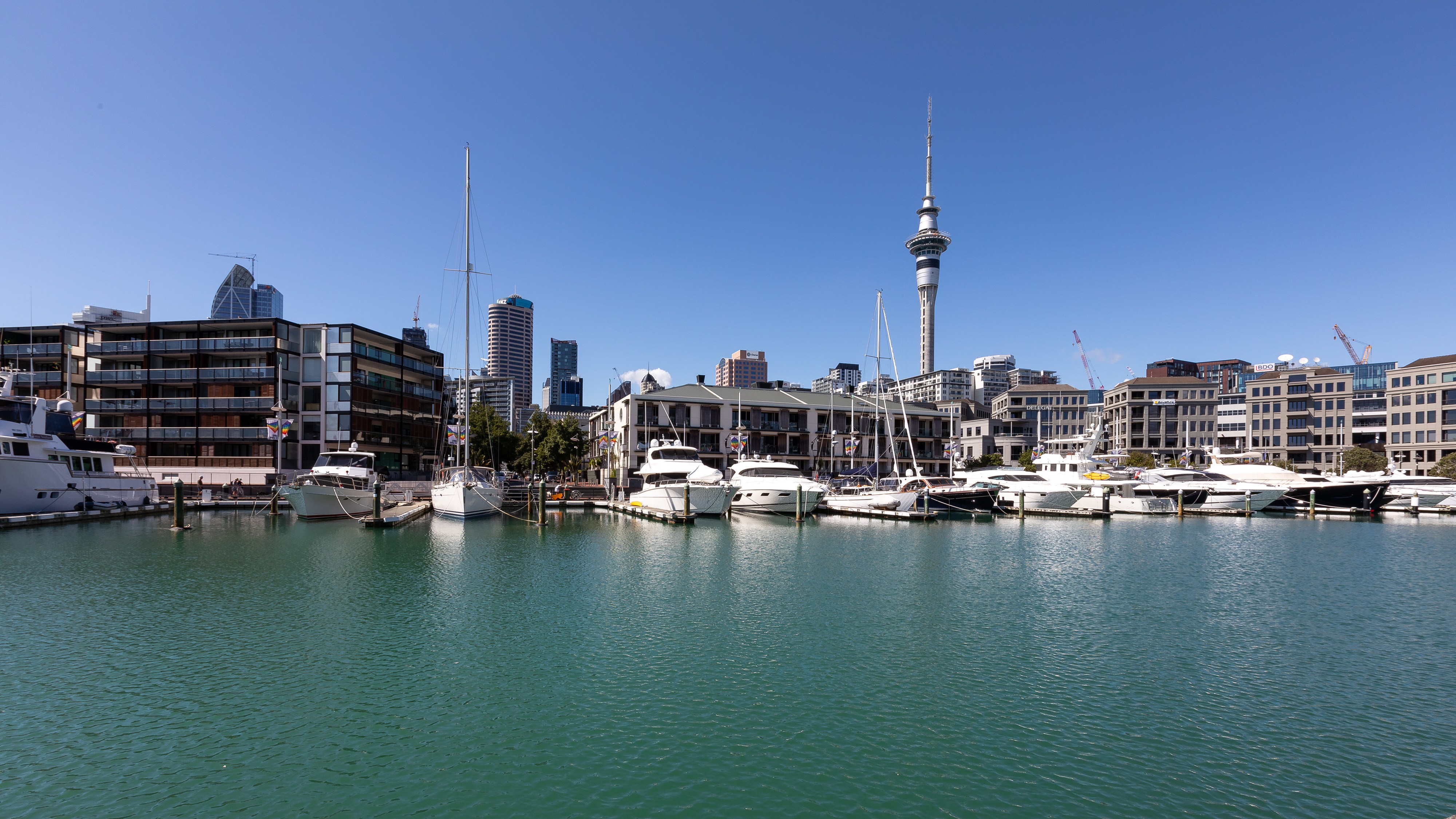 nz auckland viaduct harbour partner best travel time