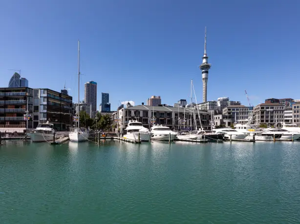 nz auckland viaduct harbour partner best travel time