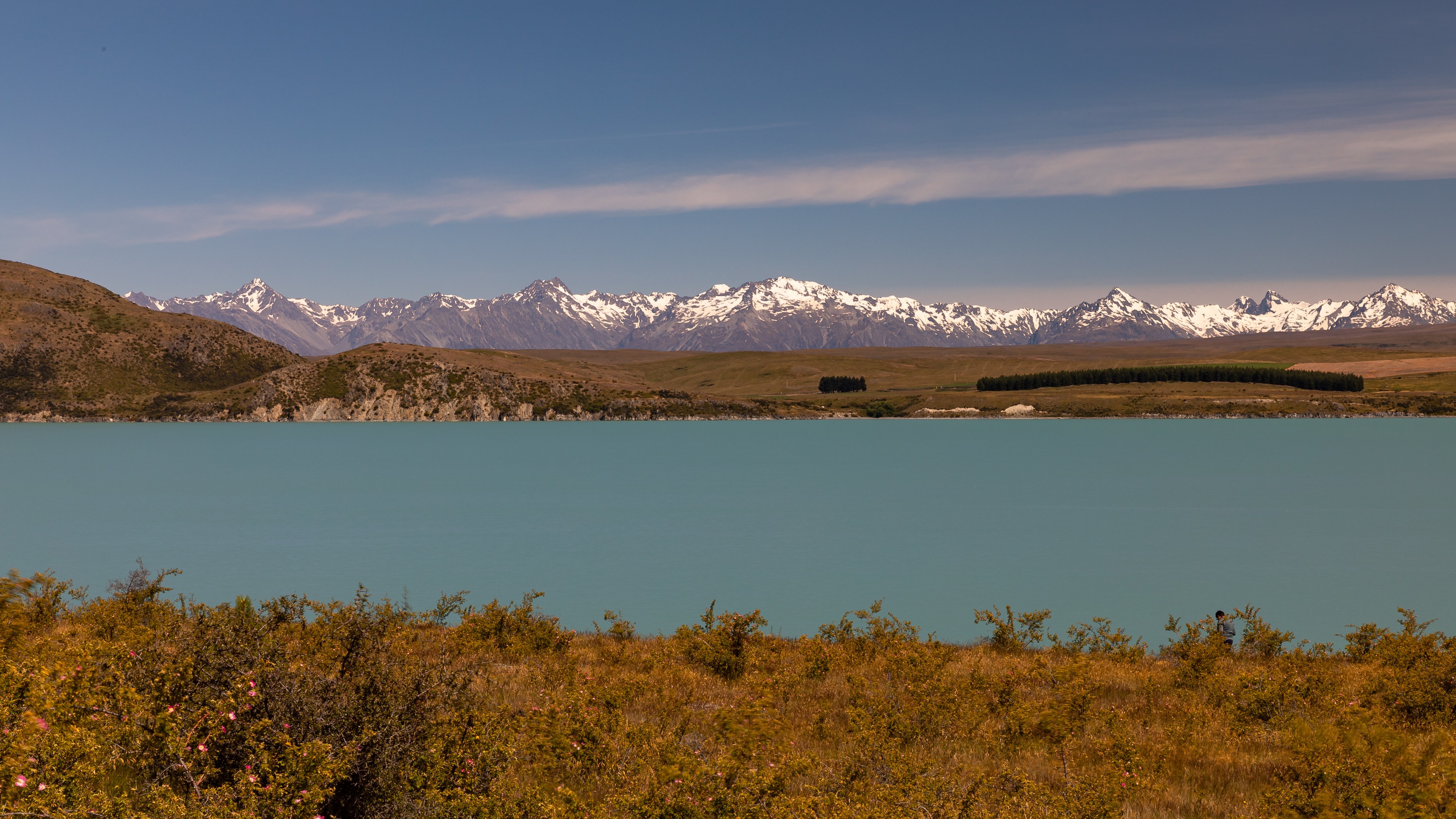 Nz lake tekapo partner best travel time