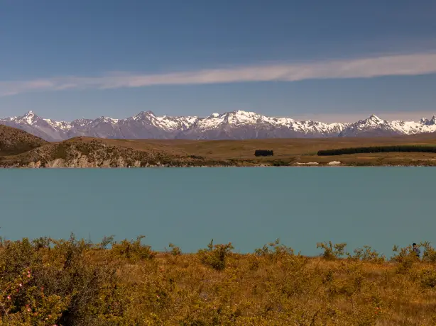 Nz lake tekapo partner best travel time