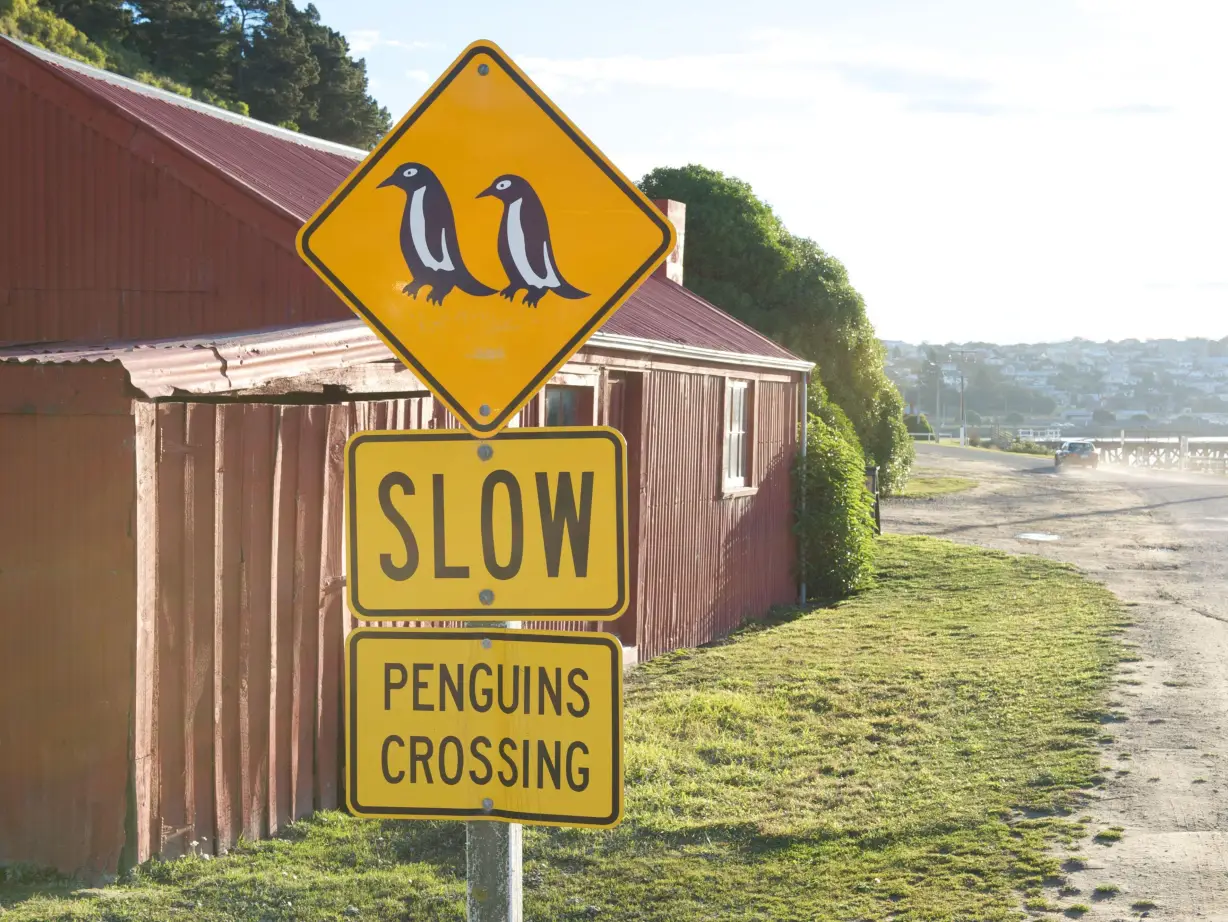Straßenschild, das vor einer Pinguinkreuzung warnt