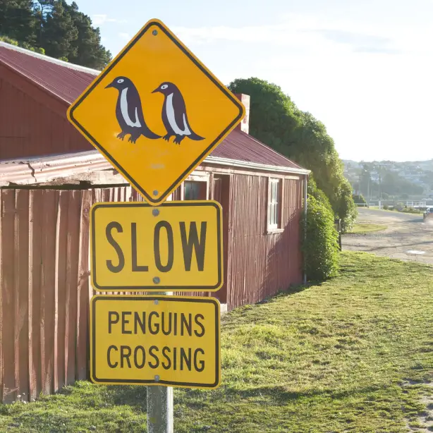 Verkeersbord dat waarschuwt voor overstekende pinguïns