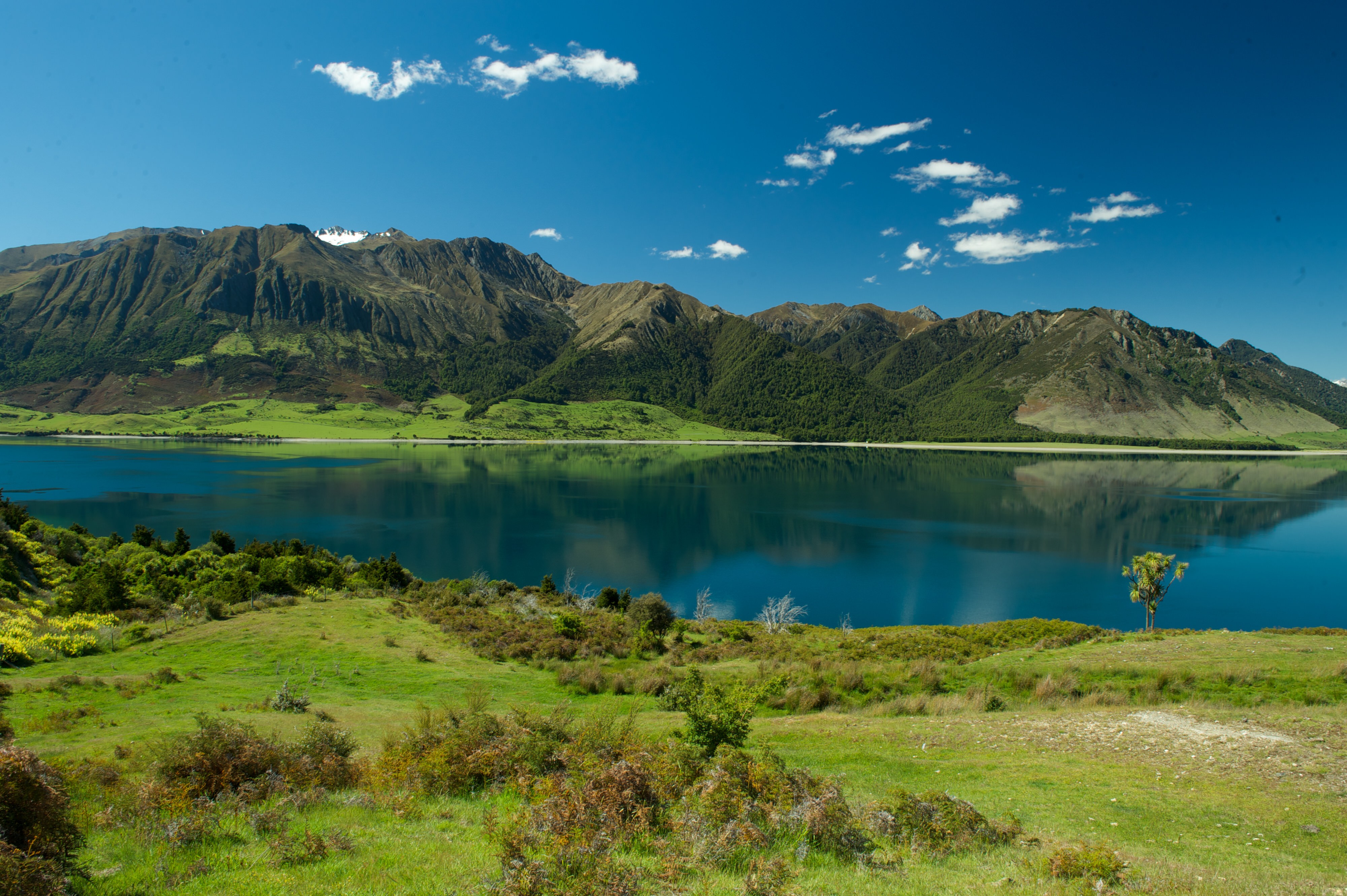 Nz silverpine lodge makarora mountain lake partner cars