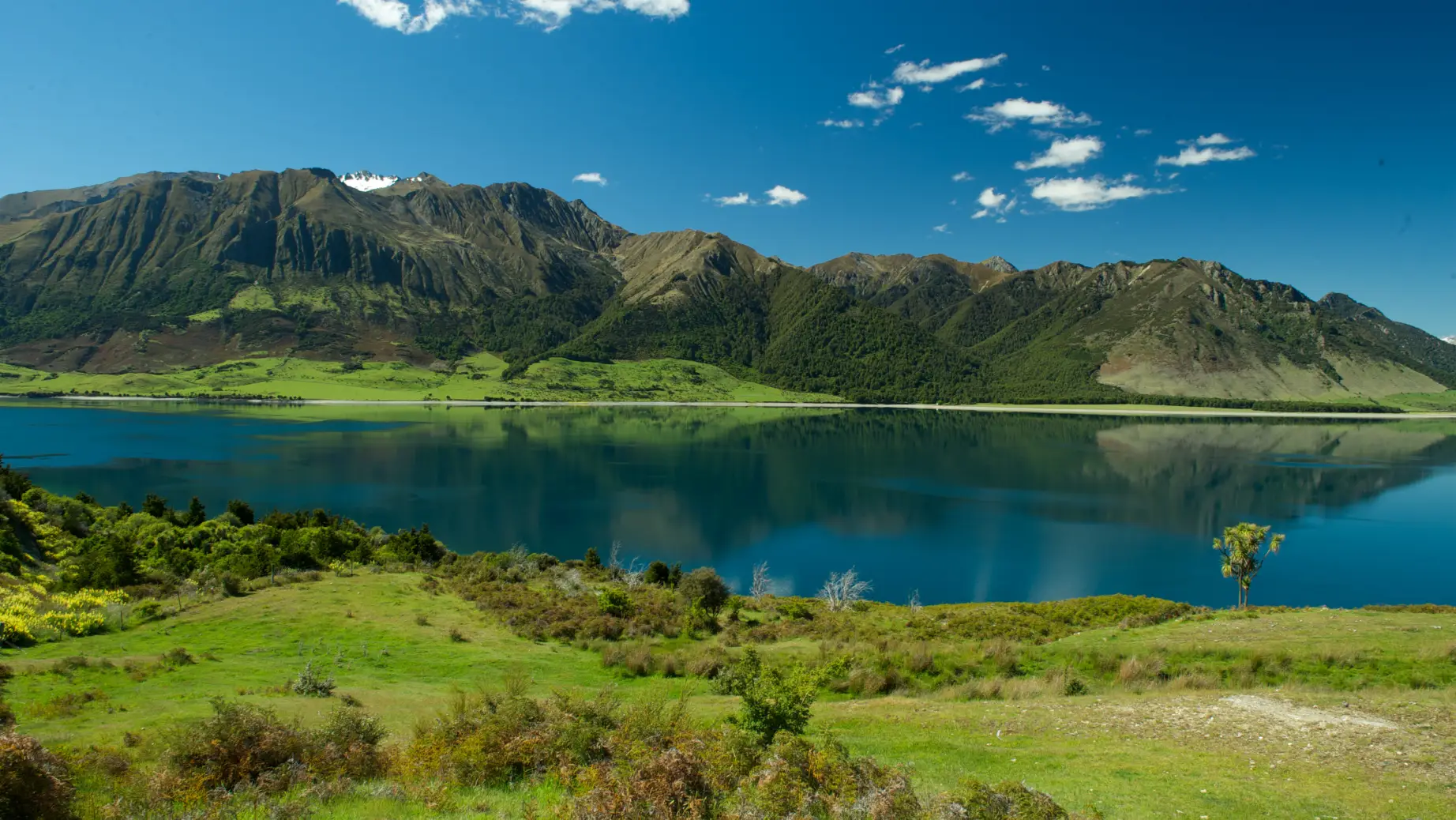 Nz silverpine lodge makarora mountain lake partner cars
