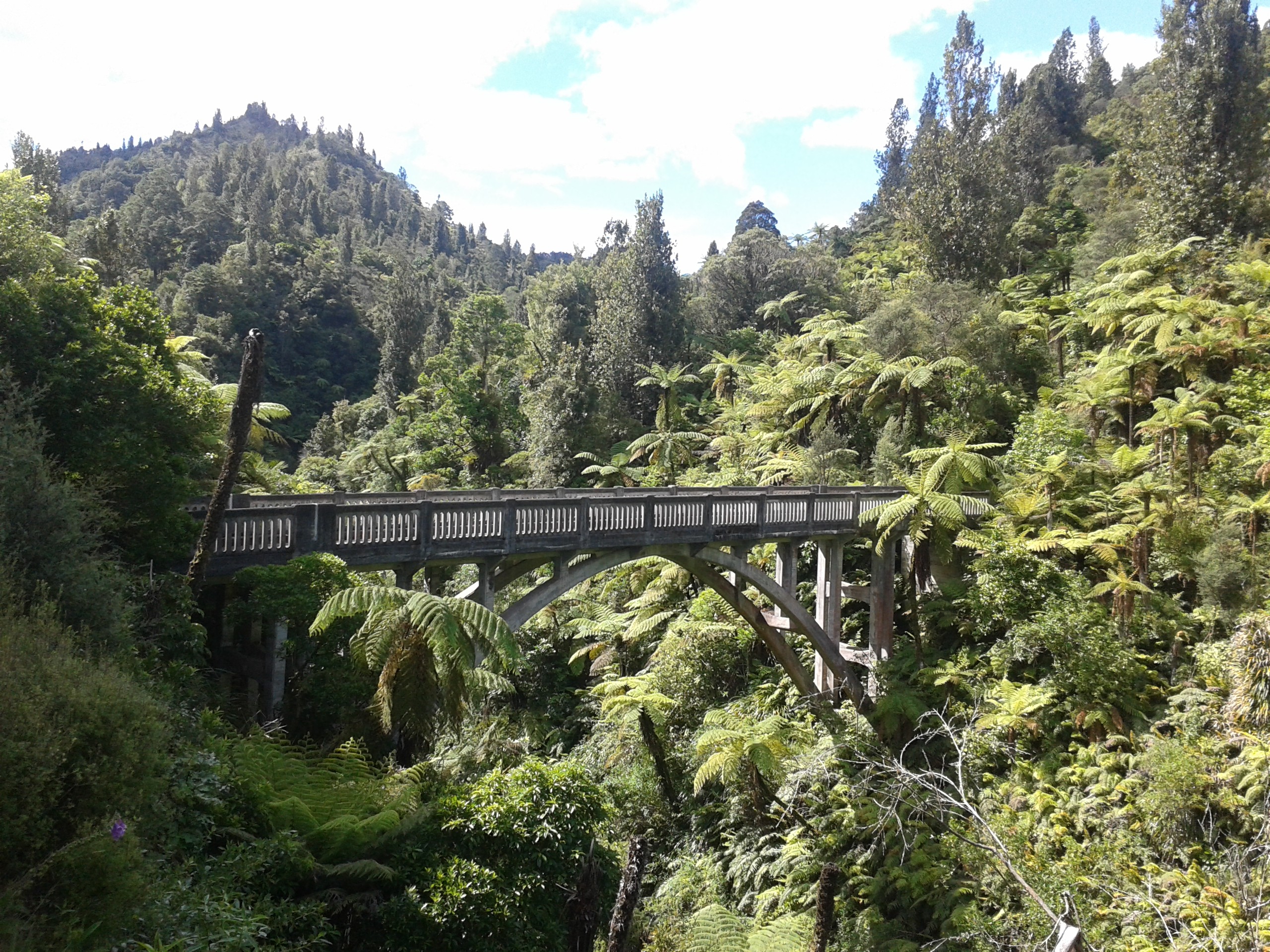 Neuseeland Whanganui Nationalpark