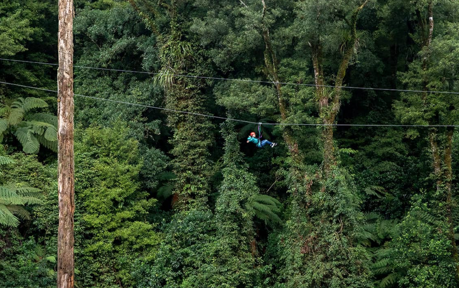 4993 Rotorua Canopy Tours 1536574617 Screen Shot 2018 09 10 at 12 16 08