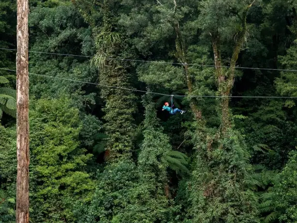 4993 Rotorua Canopy Tours 1536574617 Screen Shot 2018 09 10 at 12 16 08