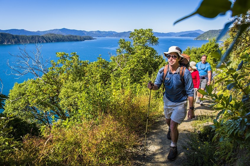 Ein Paar wandert mit einem Führer entlang des Queen Charlotte Sound in Marlborough, Neuseeland