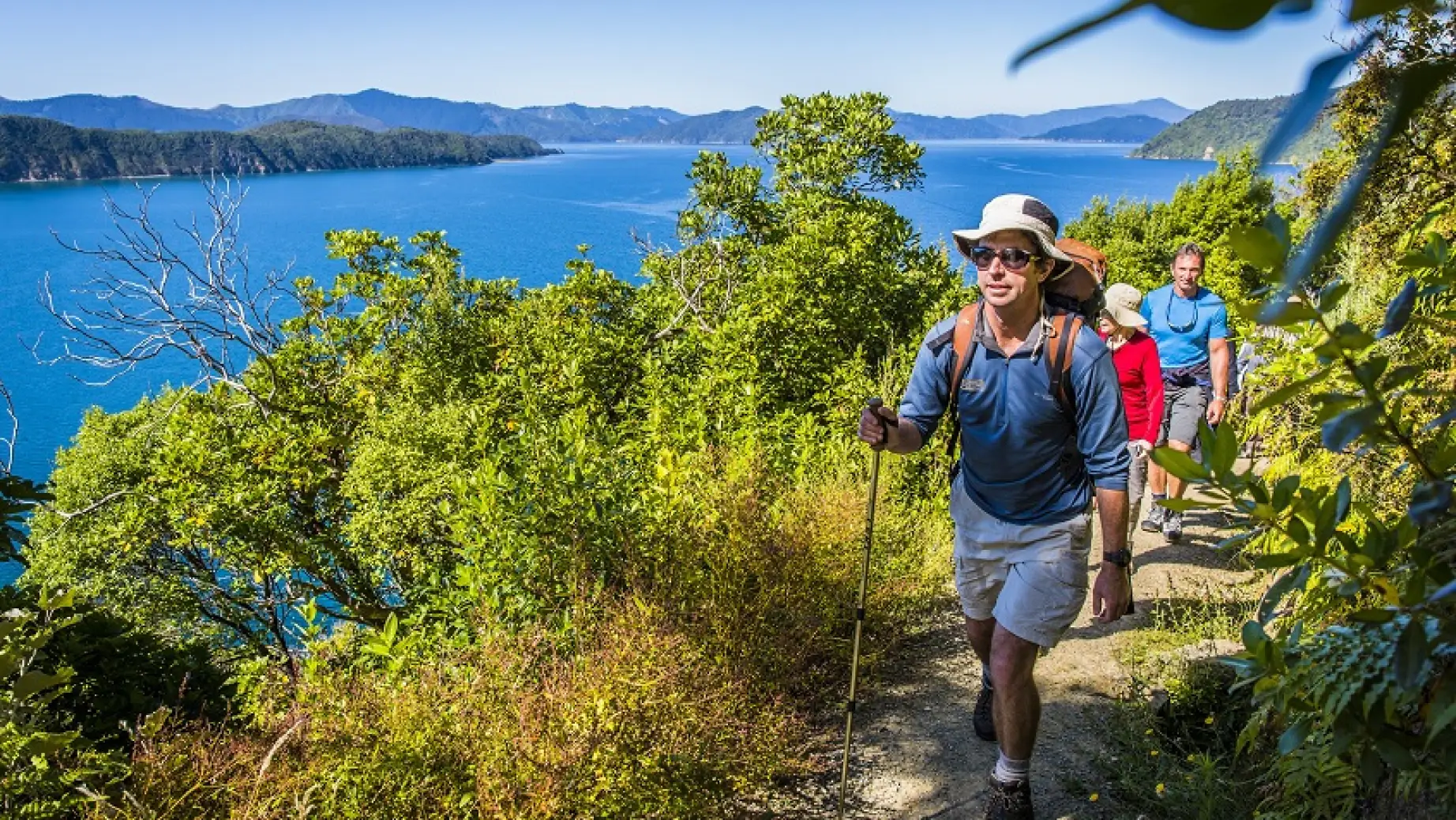 Ein Paar wandert mit einem Führer entlang des Queen Charlotte Sound in Marlborough, Neuseeland