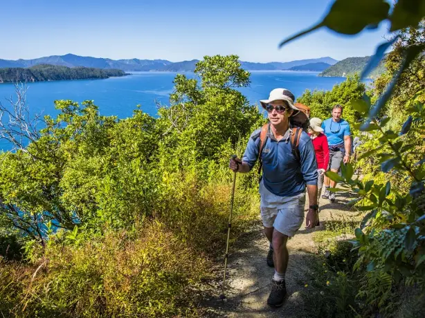 A couple with a guide hiking along Queen Charlotte Sound in Marlborough, New Zealand