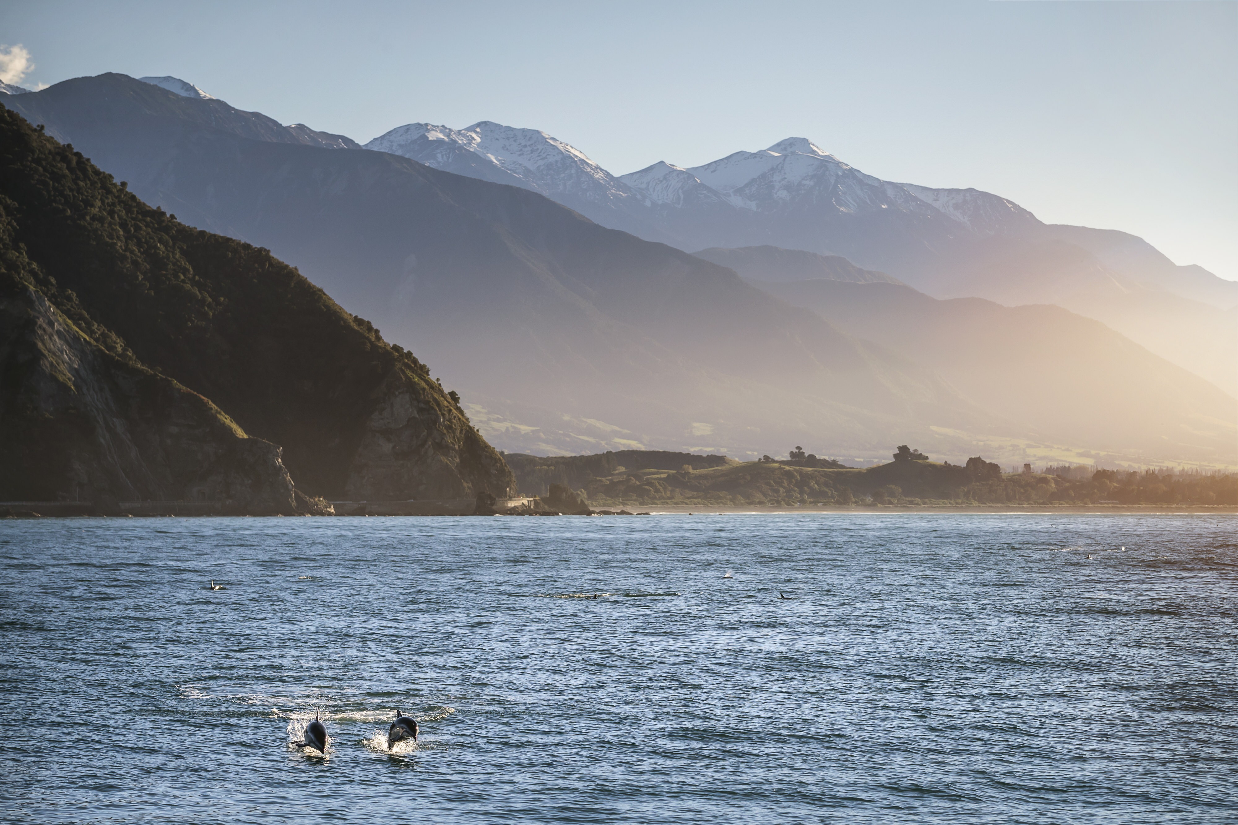 7843 Kaikoura Canterbury Miles Holden 1
